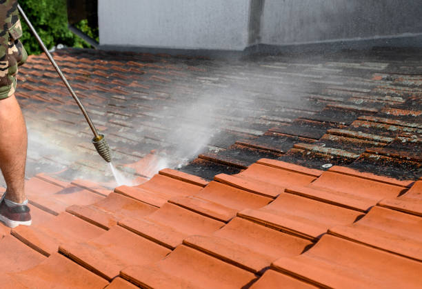 Best Residential Pressure Washing Services  in Berthoud, CO