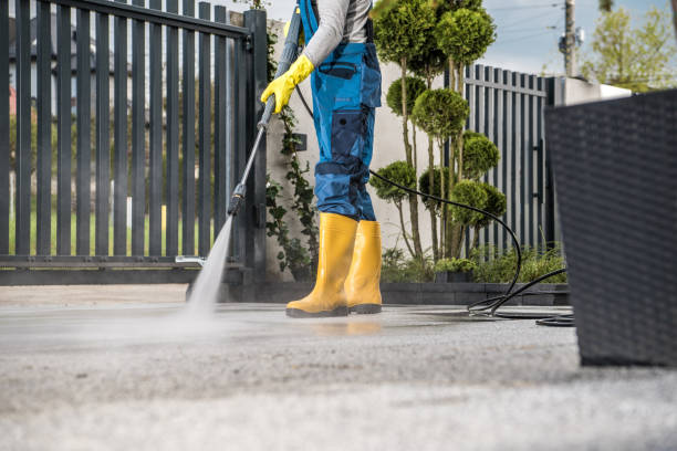 Best Roof Pressure Washing  in Berthoud, CO