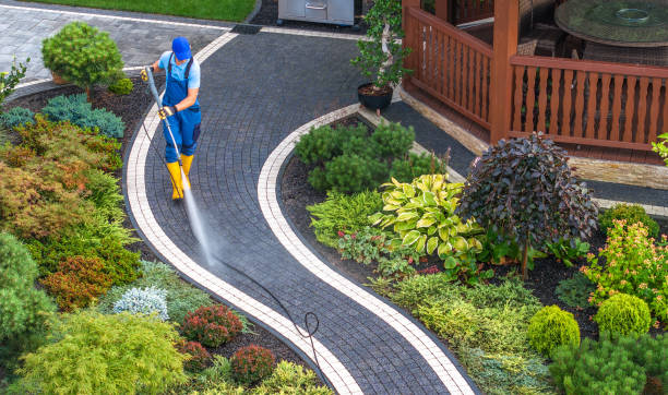 Best Roof Pressure Washing  in Berthoud, CO